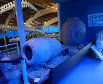 immagine notizia 1 agosto visite guidate in notturna alle sale del Museo del Mediterraneo